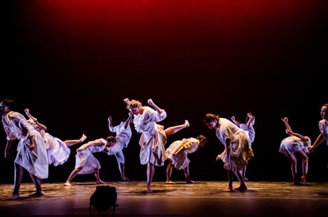 Multiple dancers are in various poses. They dance in what appears to be the morning sun. They are lit with cool lavender side light, amber back light and a leafy breakup pattern.